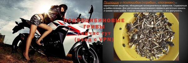 стафф Алексин